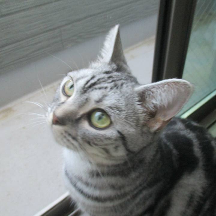 B054aca9 8047 4ac2 b3e3 414969f5084a 1570021050632