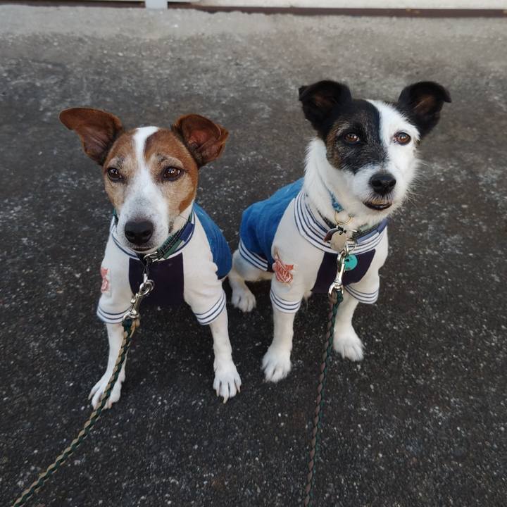 B054c766 0ac3 4bf3 9f75 ed27bd20371c 1756504180866