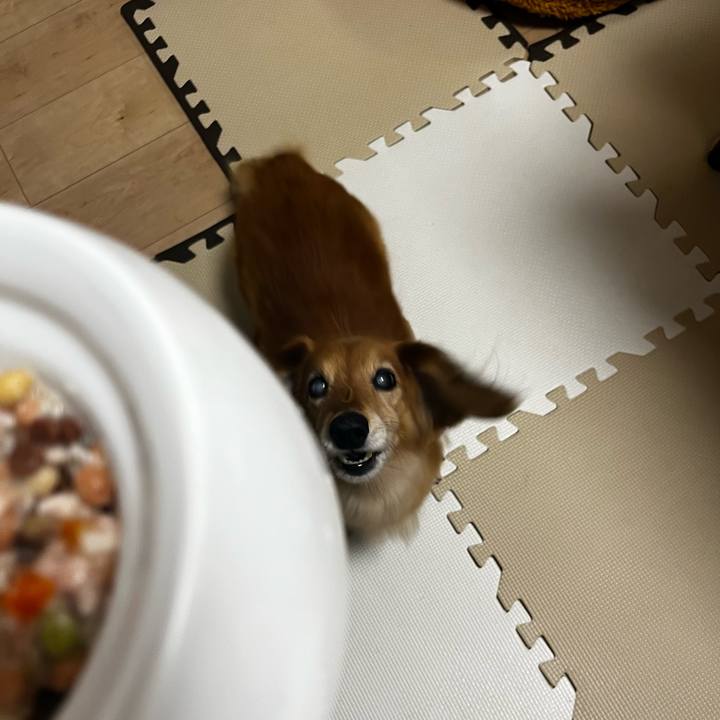 B054e859 9af5 4287 9c5b d3eaaba00768 1666096687780