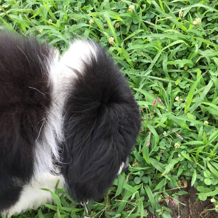 B054f391 27e9 4552 b7a9 0384c859c3e8 1530657963786