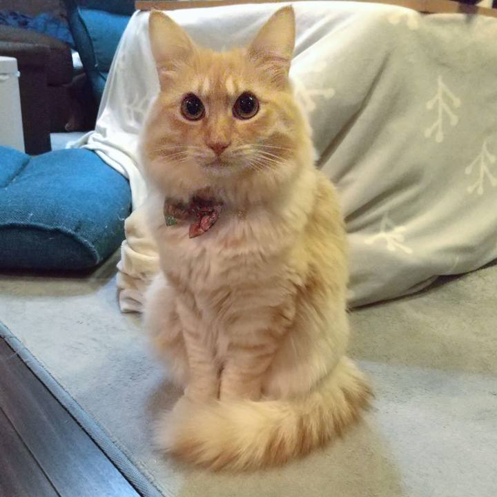 B05507ee c909 462e 8813 9bd67e9338bf 1640296335626