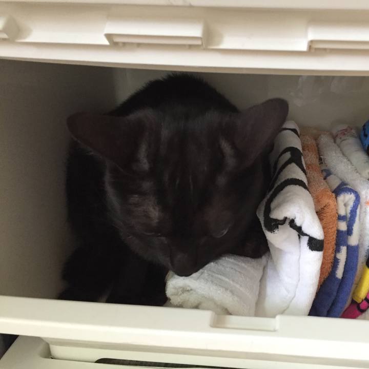 B0556f21 fc54 4796 a493 abeff6a642dc 1529280757819