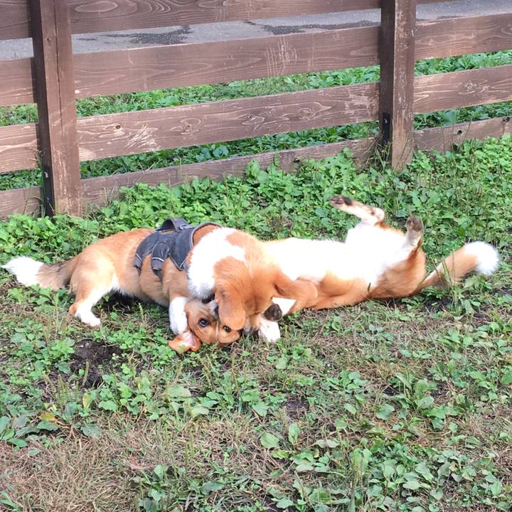 B0557a46 9ac2 444a 9cc2 799d2fdab165 1603598455396