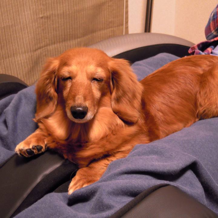 B055bcfb c342 4a69 8f95 a56adcc42451 1557081856146