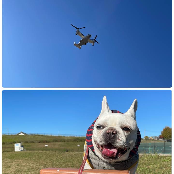 B055bda0 1005 4329 ae66 966ab310566c 1765095693095