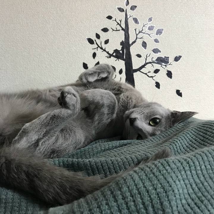 B055e6da de34 4927 8045 e400e07a1afd 1532178030310