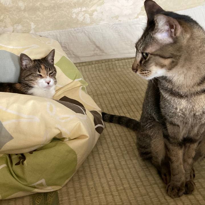 B0560040 fdac 4859 ae84 22c102cd88d9 1772510980298