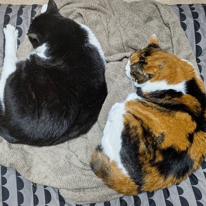 B05627e0 d15c 4daf 9e96 b0cb51321bc8 1631151556616