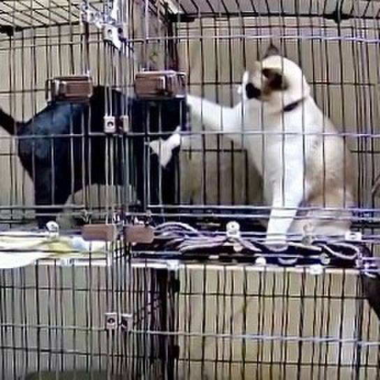 B0562f22 331c 4f71 ba87 92e3d77ffb36 1734897656595