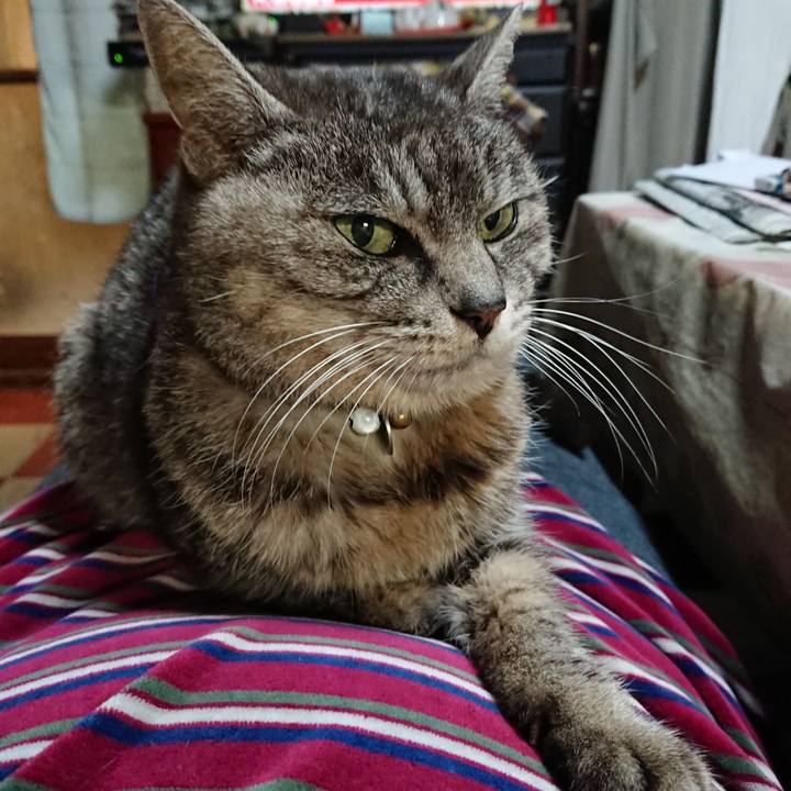 B0564afd b7c9 4d6c a1d2 364ebc7669ae 1579340202656