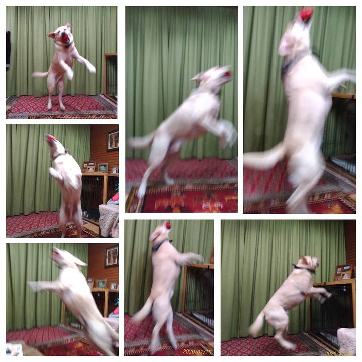 B0565cd7 d947 4de7 8002 e693085bc08d 1579080925475