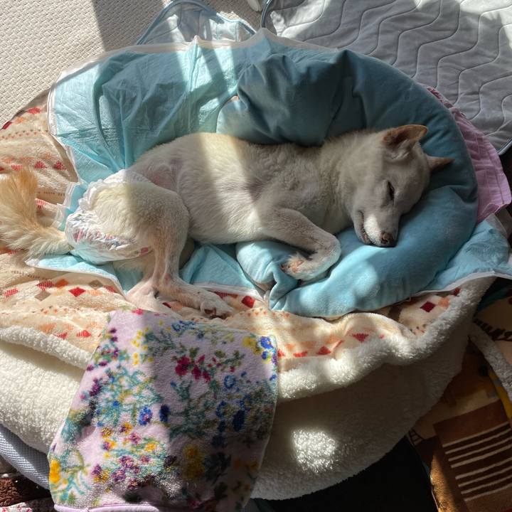 B0567627 e1d1 4882 ac49 3294f794ba7b 1669521449725