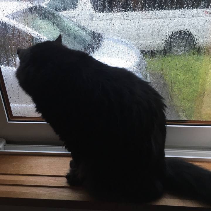 B0569104 a0e5 46a7 9c00 ed216b16a235 1535607717514