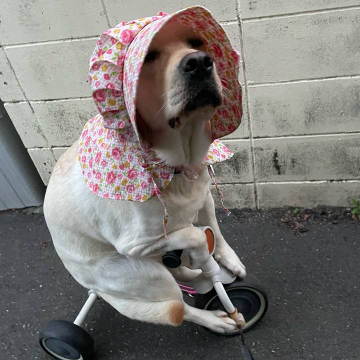 B05696f1 c044 4f1c 916b be7e20d00582 1655117268953