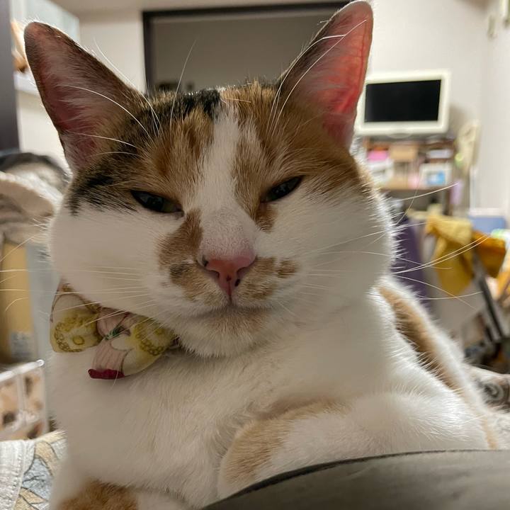 B056a5f2 dfff 460c a81e 98559f632fc7 1640098362136