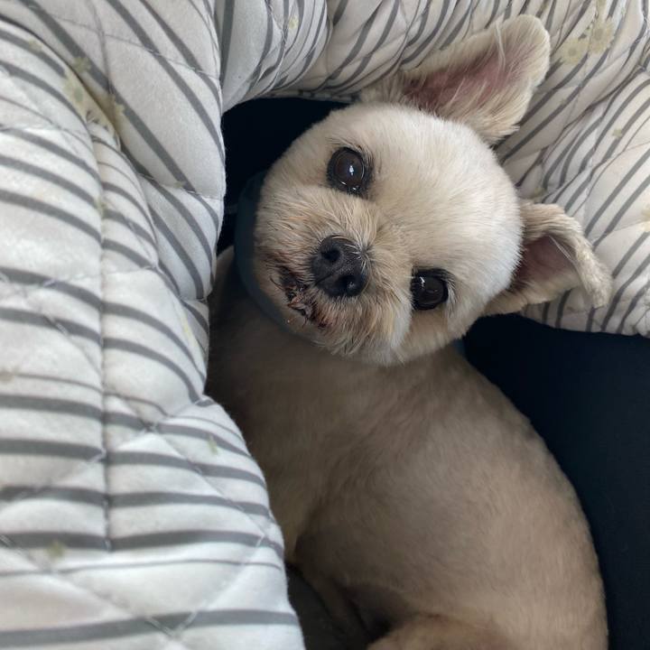 B056ed4c bff2 4279 9dcb d990eab1de6d 1720349466617