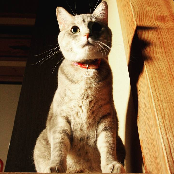 B05709af b44a 4e99 9f2f 0e21490802da 1509668629626