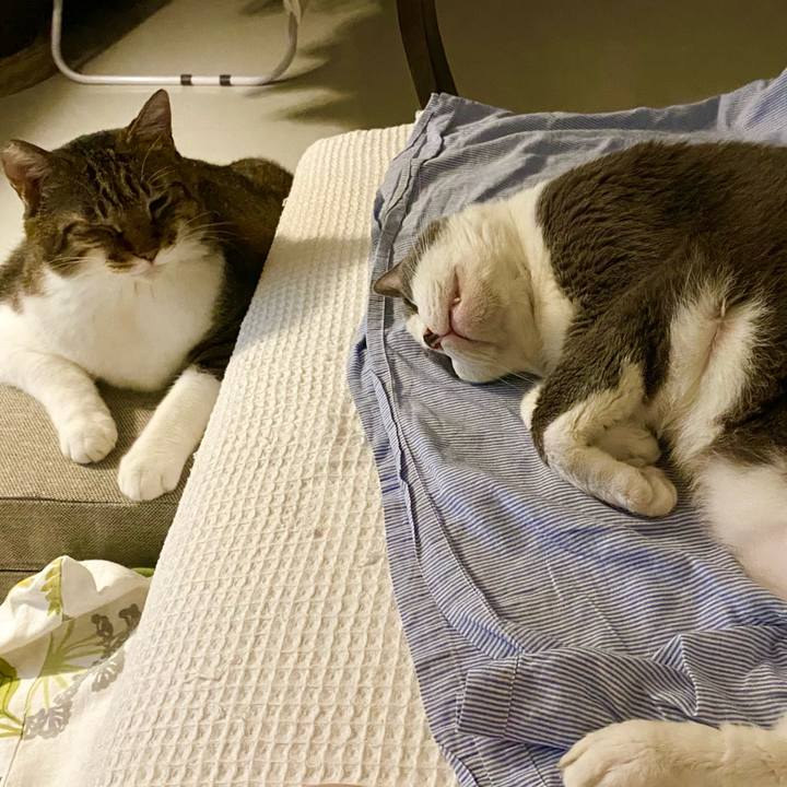 B0570a4e 7915 431d 8822 0cd65b5fc854 1757169809037