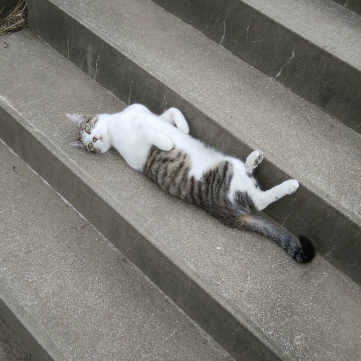 B05726da a555 4045 ab52 60ed05a26d46 1529322196439