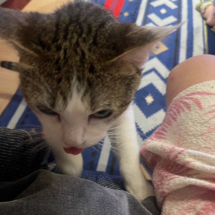 B057339a 905d 4b79 8342 d449affee4fb 1627207911618