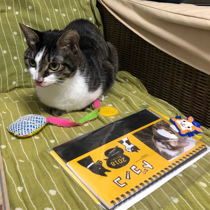 B0576007 3873 4296 a575 ccdf73c2c164 1514730118161