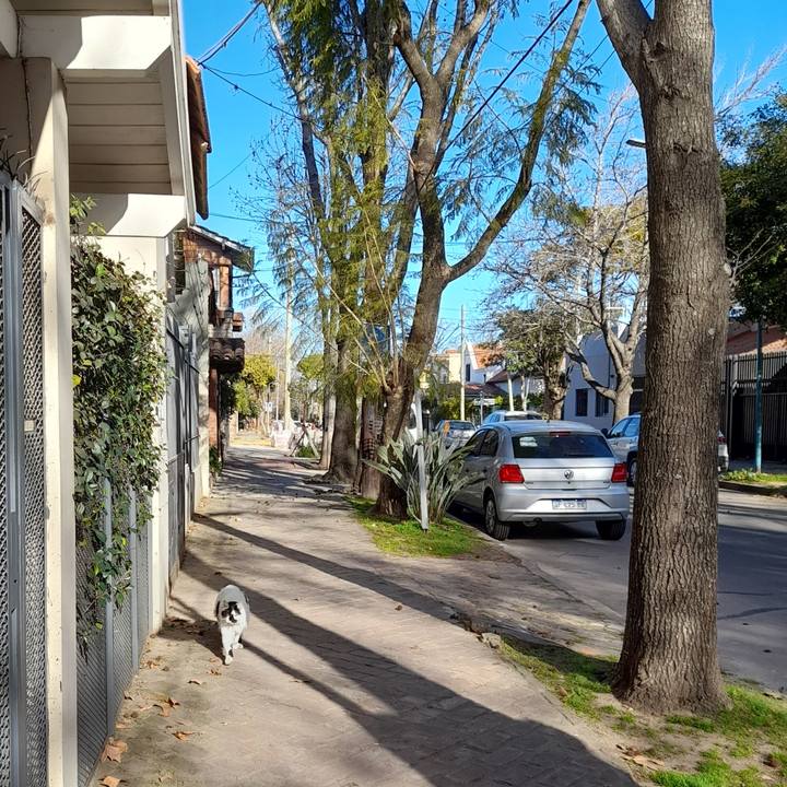 B0576261 fc26 42b4 aca3 864ea73446f5 1755597239147