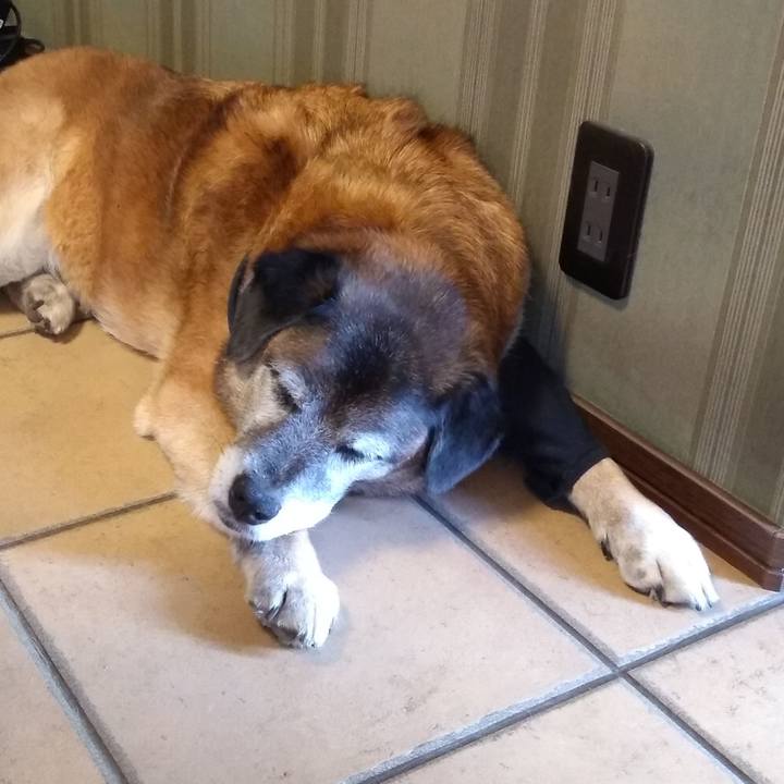 B0576277 42a1 45e5 85da e2cba90bf78e 1560755395549