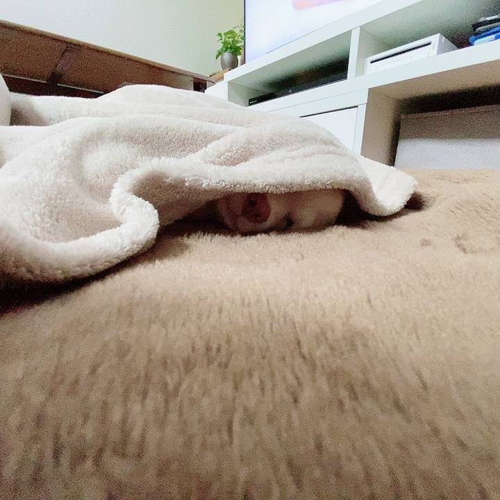 B0578245 3874 41d7 8816 7c101d9206e5 1594885399250