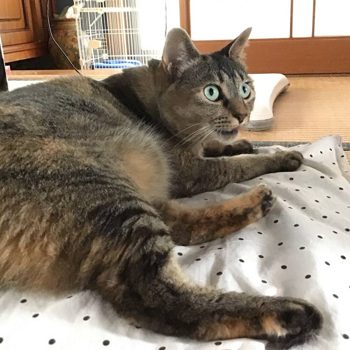 B0579b02 a08a 4c28 b9d7 1f7272e11ed1 1687869352684