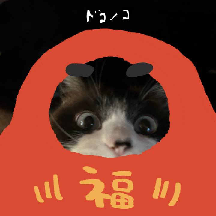 B057dab2 473d 4c47 882c ae5ecbd36a1f 1772056585968