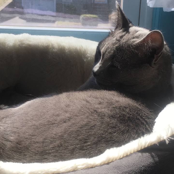 B057eace d137 484e 9177 cf94b4b60b88 1617467024577