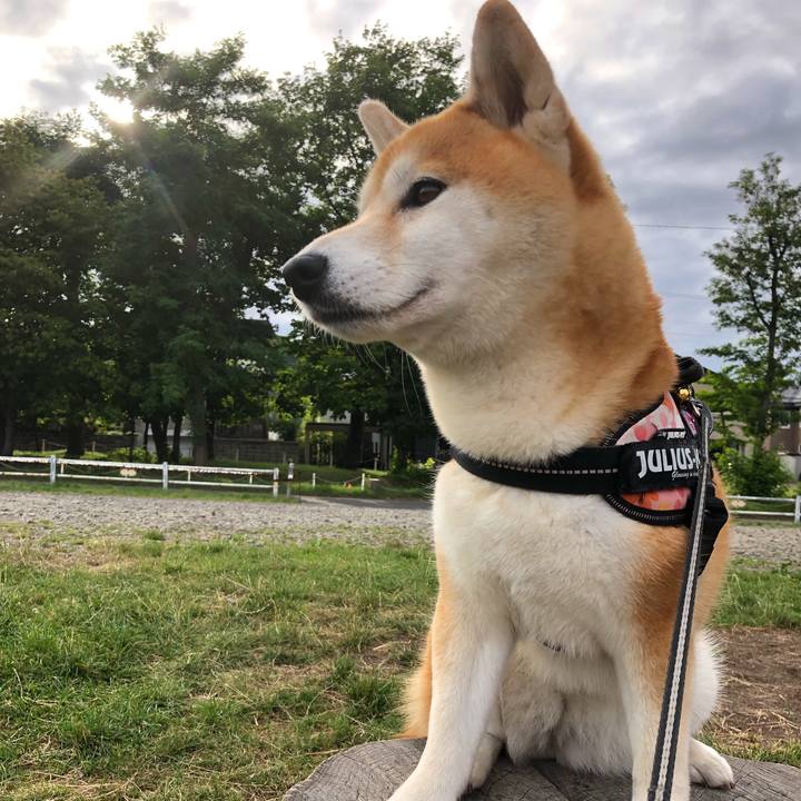 B057fce4 ce44 46c4 b57b 2e48c1df57dd 1563276912701