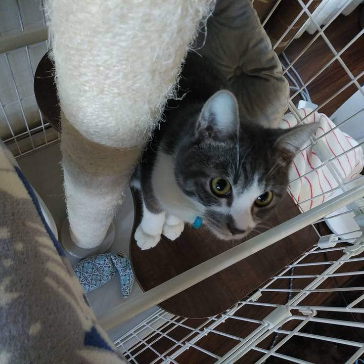 B057fd2c 32b8 4c91 b221 323330a2fcb9 1575760101380