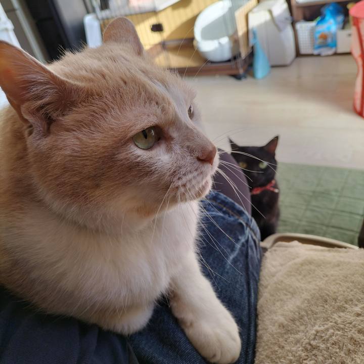 B0580e68 7f3a 4d5a 8ce0 a770f90141a0 1635893284682