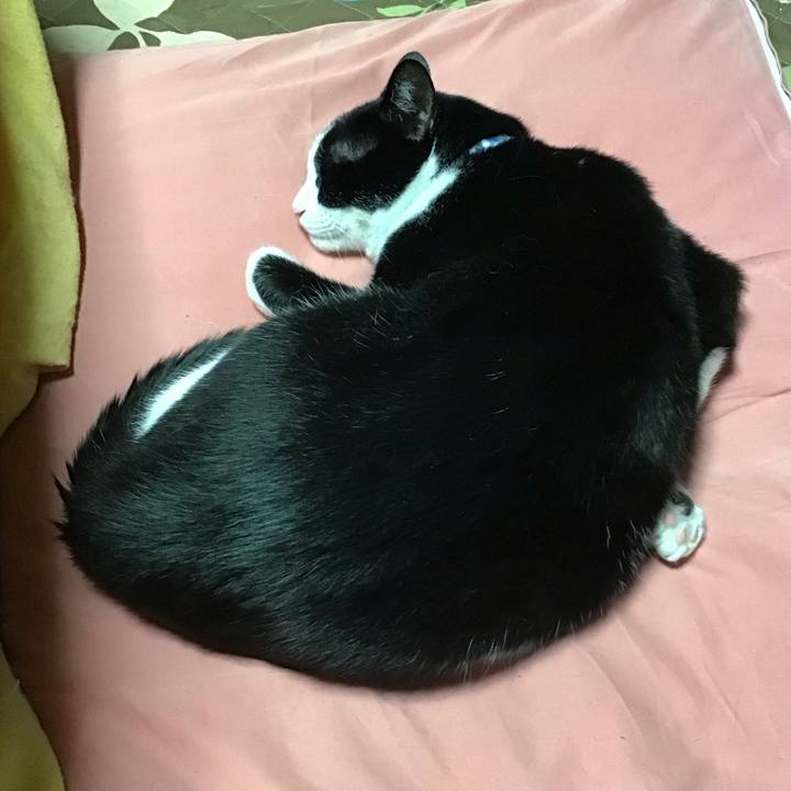 B05823e7 de7d 4b14 b75f 5196f07ea78d 1686661731013