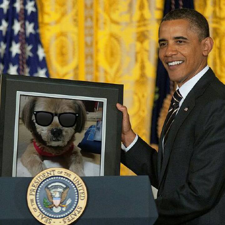 B058265c 8a74 4772 bf2a 5d991acfa6af 1514990436598