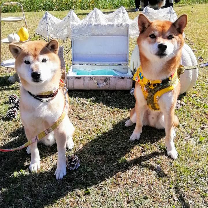 B05842c9 e48a 48b7 ad43 5ae4d787d150 1603616311368