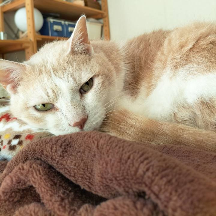 B05868d0 c415 4a32 ab6e 04d500bc568a 1669243434007