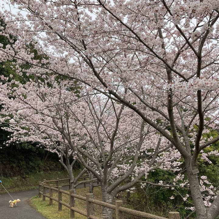 B058a91b f1b0 44c8 9b85 8378d5e82000 1648672881929