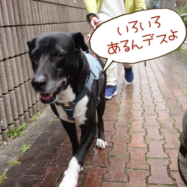 B058c8d5 b305 4ea9 84e0 542a80d5d12f 1710207424276