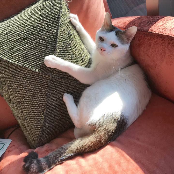 B058ed88 ebb9 403e 81e2 88210a044c30 1550900902320