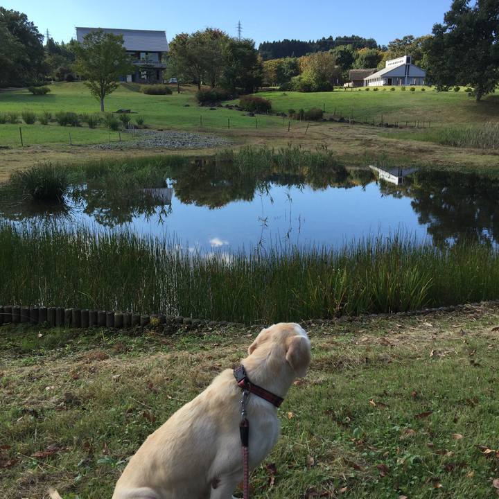 B0593800 ea22 4fc4 b963 7ae3f42cc395 1508218443236