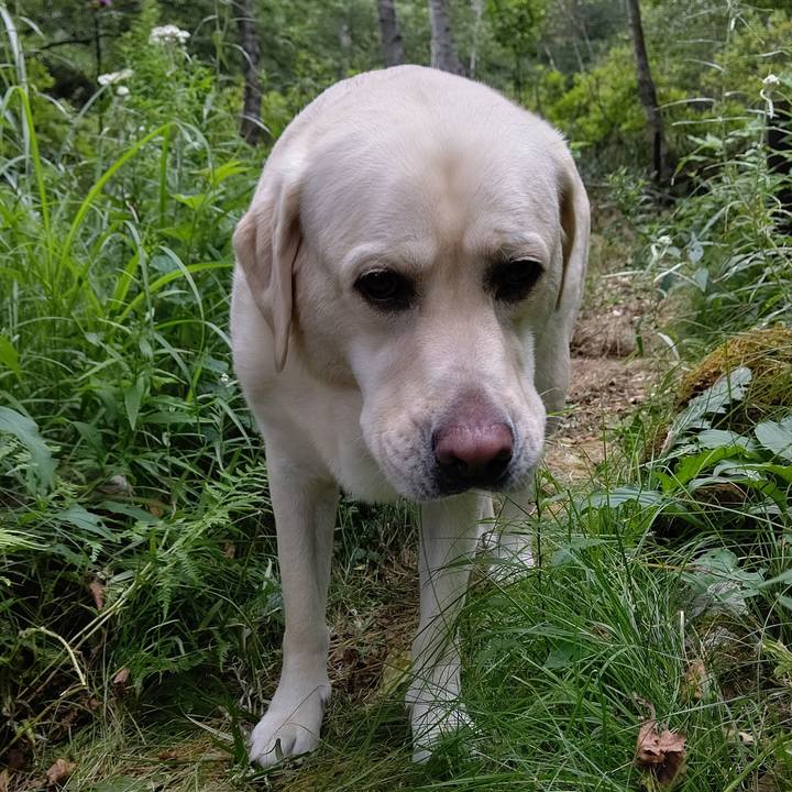 B0595055 a2ee 4e06 90d3 8413bd0a6c7d 1596937830673