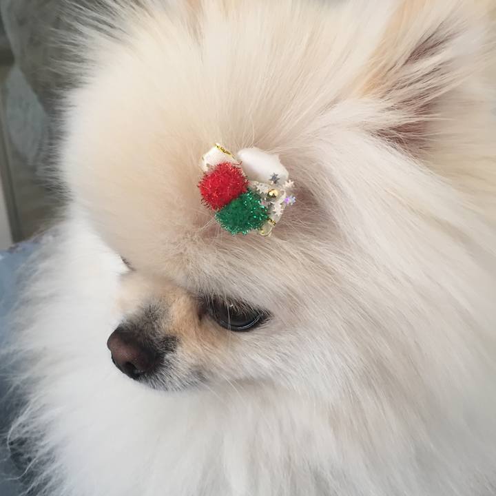 B059959f d54f 4fa7 bf54 db9d839f4c73 1607781175372