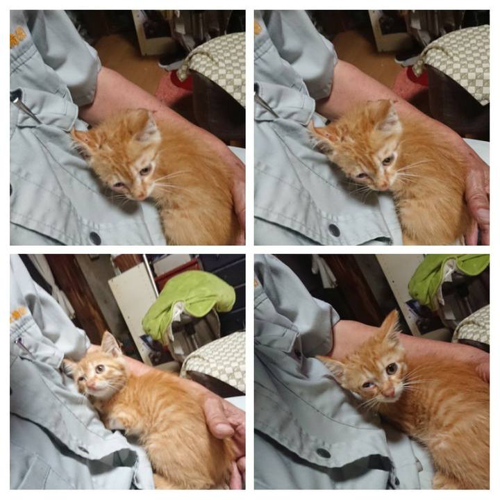 B05998f7 d73e 4960 b0e7 ac7f027c8e1a 1627731731326