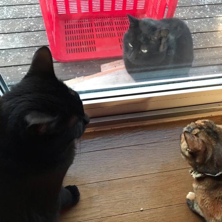 B0599c9c 79ca 454e a38e 82ec109c5320 1644538670173