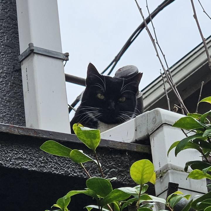 B059caed 95c1 4287 92d4 84442f72c81f 1737262743844