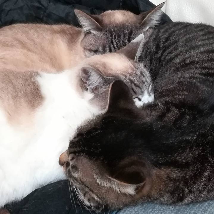 B059eca1 6324 4ebc 8ded 22c023585619 1552216649191