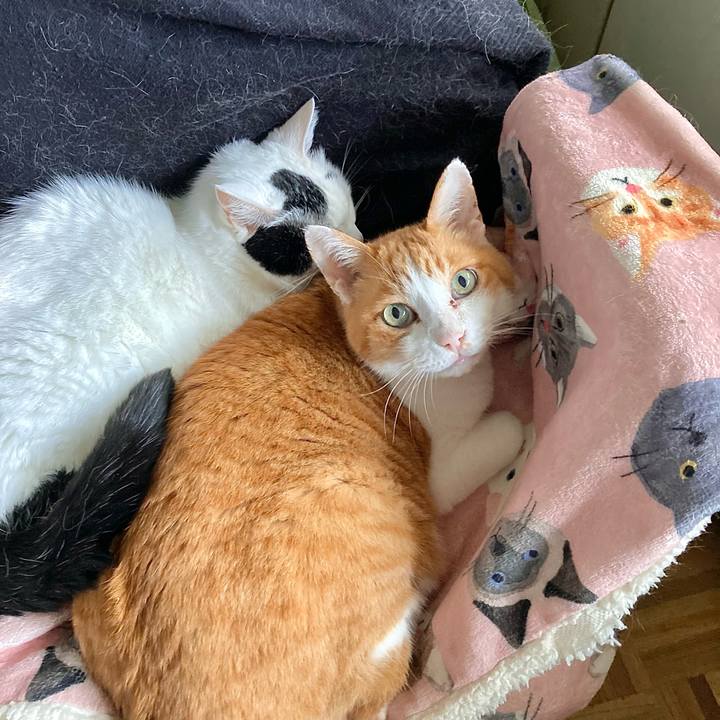 B059f890 7a9e 4903 9139 10d4694d8b82 1665882753226