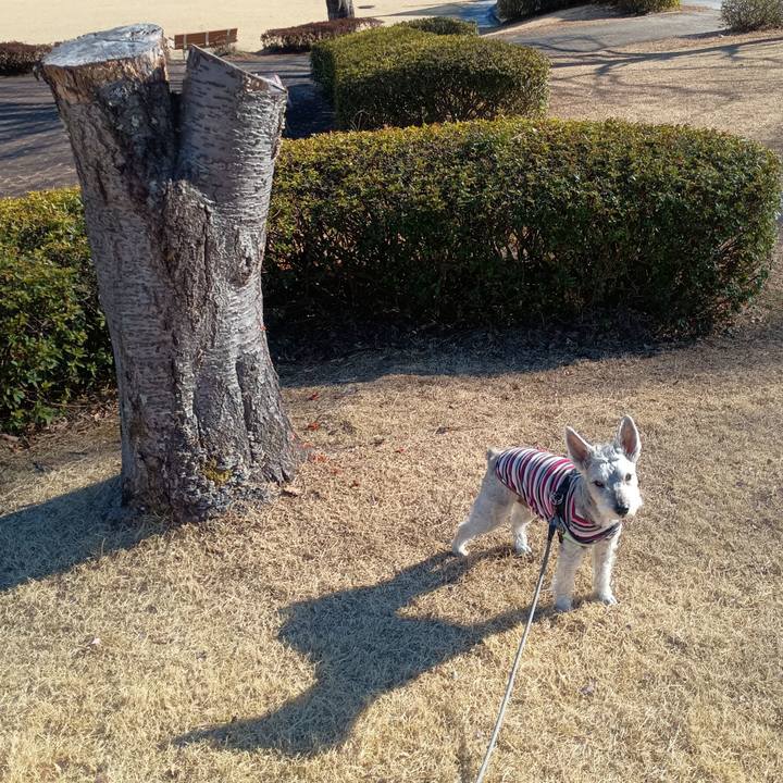 B059fb6f 9c49 456e bb41 cd2d44d468b2 1771501715667